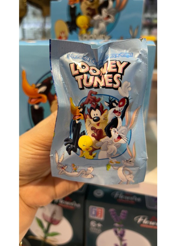 LOONEY TUNES GİZEMLİ PAKET