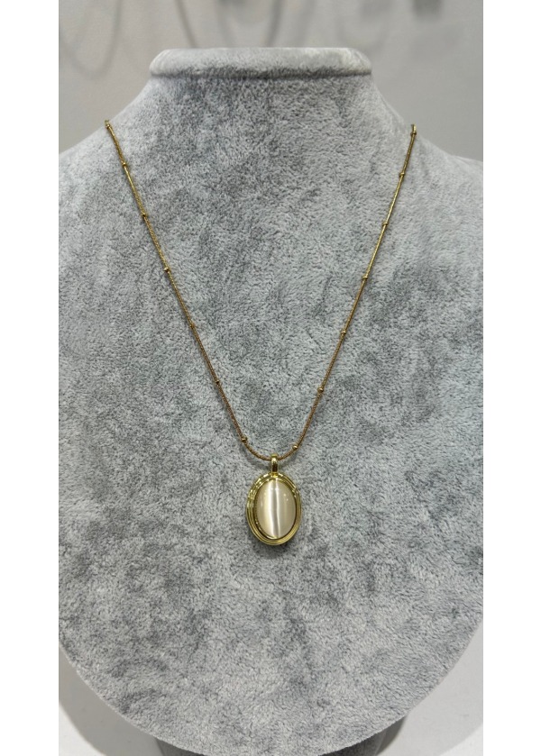 OVAL ÇERÇEVELİ TAŞLI ÇELİK KOLYE 