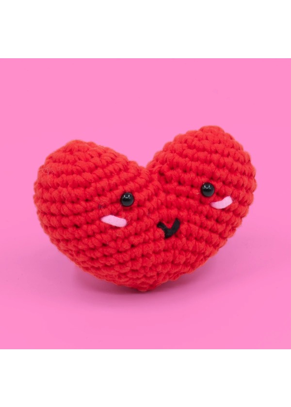  Caniko Örgü Öğrenme Seti